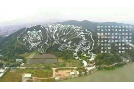 十二生肖算命法，探秘命运之谜